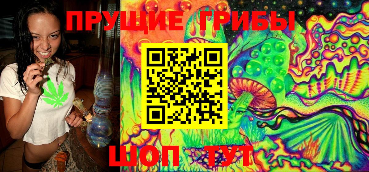 Галлюциногенные грибы Cubensis  Вход с VPN  Джанкой  Псилоцибиновые грибы прущие грибы 
