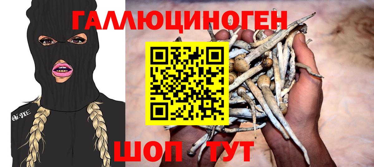 Псилоцибиновые грибы GOLDEN TEACHER Джанкой